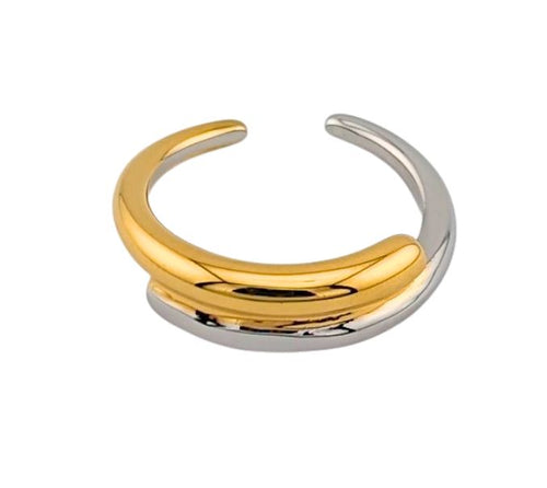 Gold and Silver Duet Gold Ring